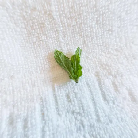 Kalinifta Nocleg ze śniadaniem