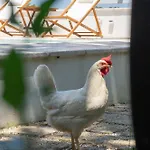 Bed & Breakfast Kalinifta