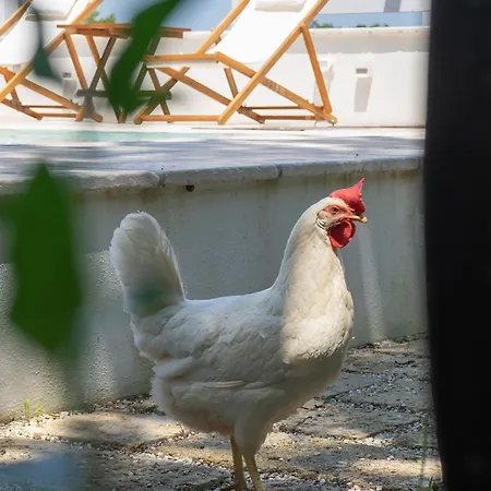 Bed & Breakfast Kalinifta