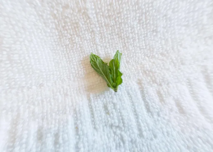 Kalinifta Bed & Breakfast